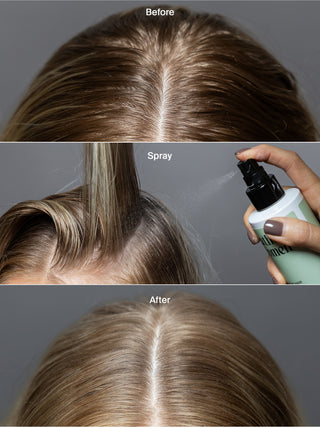 Treat & Extend Bundle